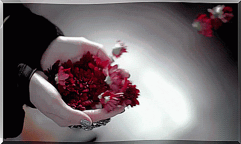 flowers gif