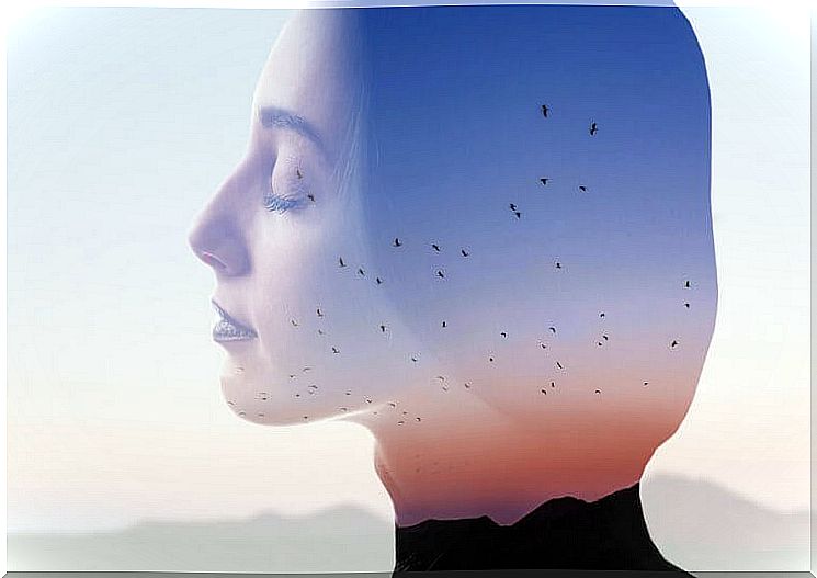 woman in profile superimposed on a landscape with flying birds