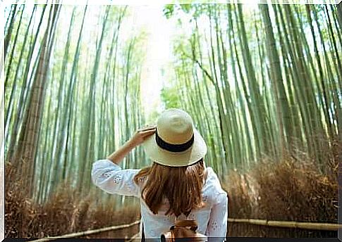 A woman in a forest filled with bamboos. 