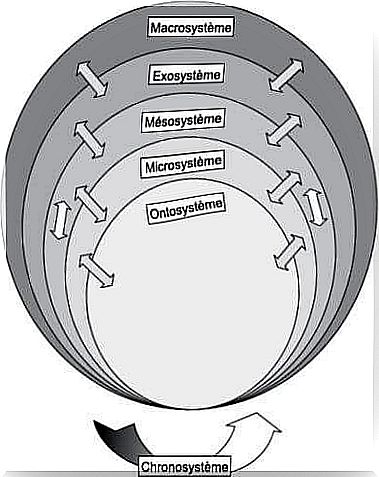 Bronfenbrenner's ecological theory