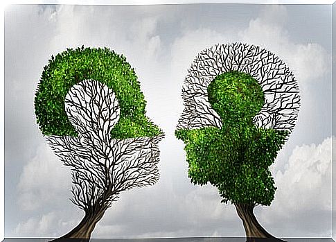 mirror neurons and empathy