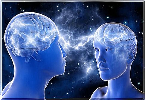 connection via mirror neurons and empathy