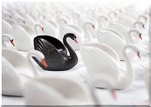 Nassim Taleb's Black Swan Theory