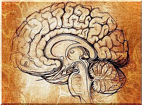 The lenticular nucleus, the center of motivation and learning