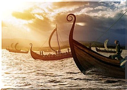 Viking ships 