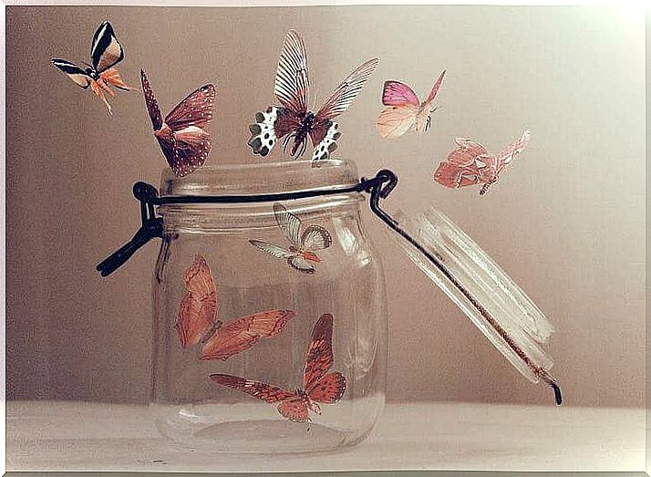 recipient-glass-butterflies-outgoing-